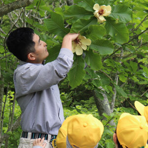 Sota Tsukushi